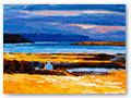 title: WINTER SUNLIGHT, ASHAIG. 60x80cm. £5000
